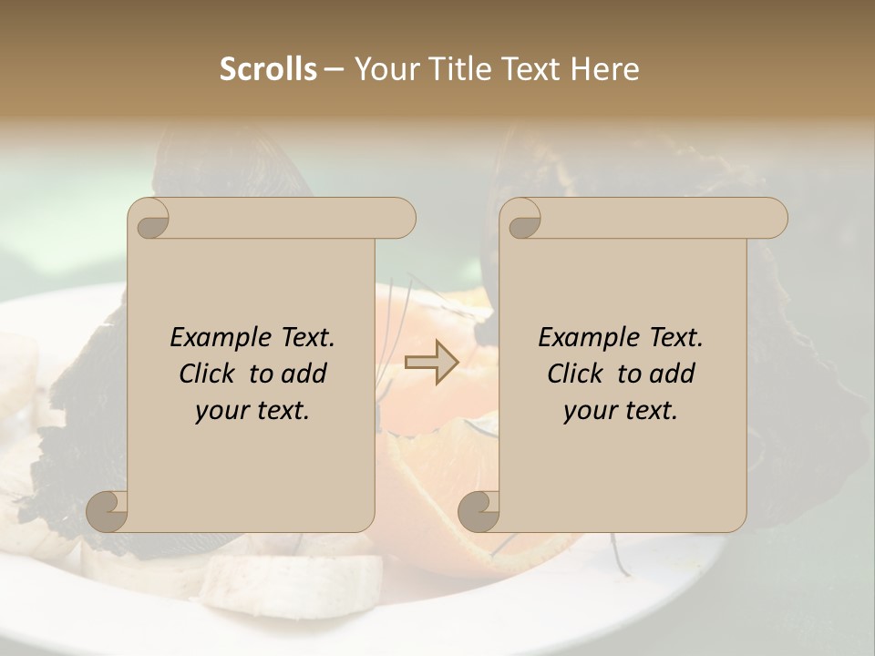 Owl Butterflies At Lunch (Butterfly House In Wien) PowerPoint Template