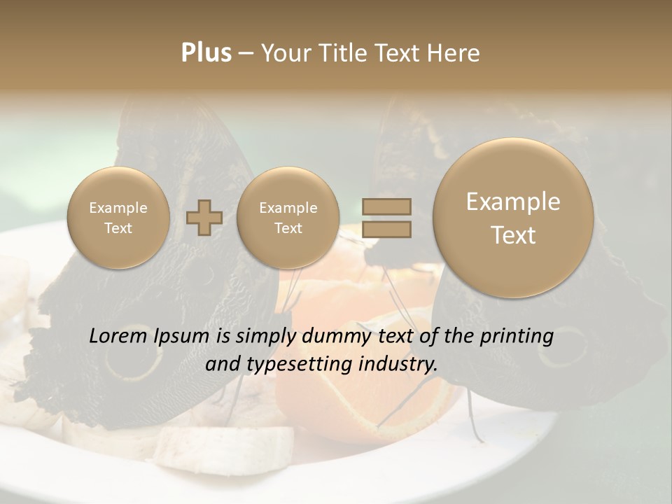Owl Butterflies At Lunch (Butterfly House In Wien) PowerPoint Template