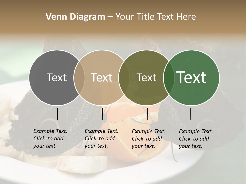 Owl Butterflies At Lunch (Butterfly House In Wien) PowerPoint Template