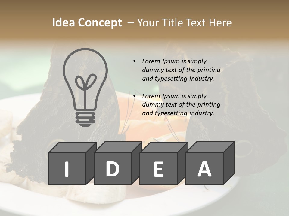 Owl Butterflies At Lunch (Butterfly House In Wien) PowerPoint Template