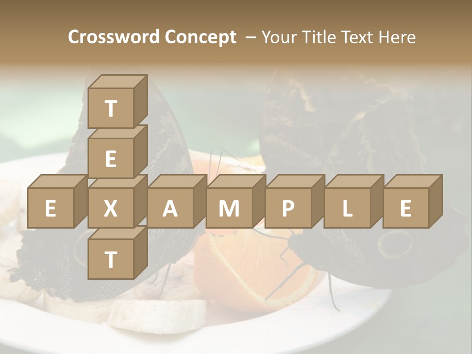 Owl Butterflies At Lunch (Butterfly House In Wien) PowerPoint Template