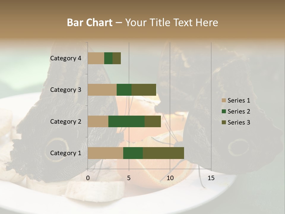 Owl Butterflies At Lunch (Butterfly House In Wien) PowerPoint Template