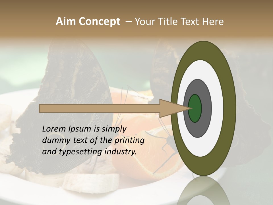 Owl Butterflies At Lunch (Butterfly House In Wien) PowerPoint Template