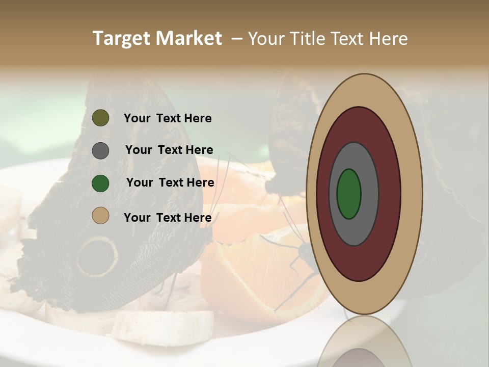 Owl Butterflies At Lunch (Butterfly House In Wien) PowerPoint Template