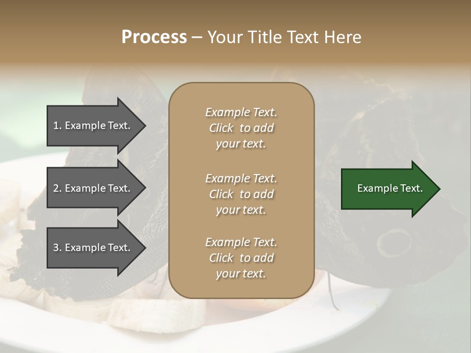 Owl Butterflies At Lunch (Butterfly House In Wien) PowerPoint Template