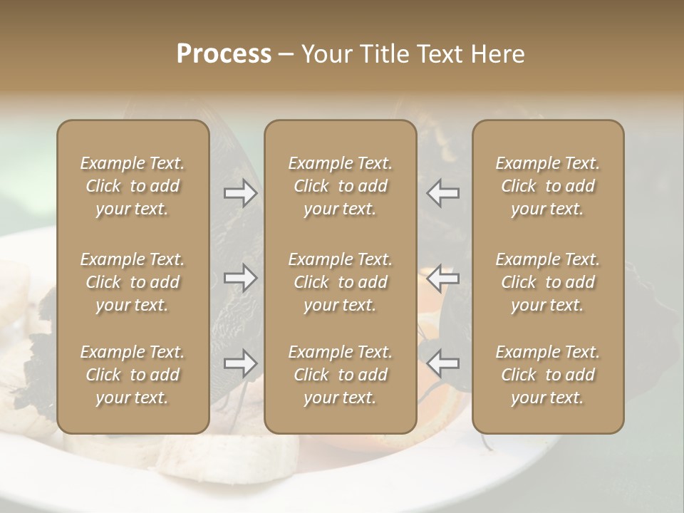 Owl Butterflies At Lunch (Butterfly House In Wien) PowerPoint Template