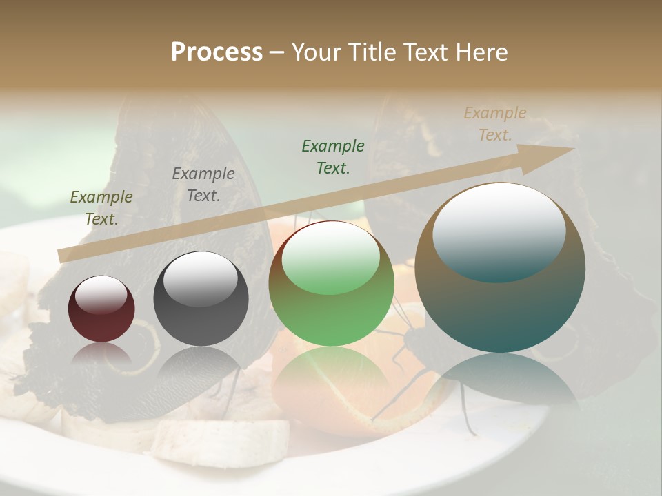 Owl Butterflies At Lunch (Butterfly House In Wien) PowerPoint Template