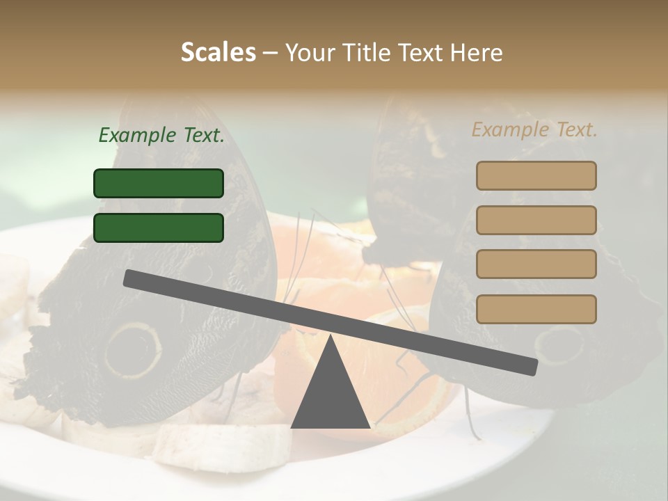 Owl Butterflies At Lunch (Butterfly House In Wien) PowerPoint Template