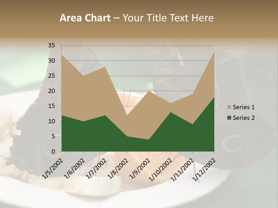 Owl Butterflies At Lunch (Butterfly House In Wien) PowerPoint Template