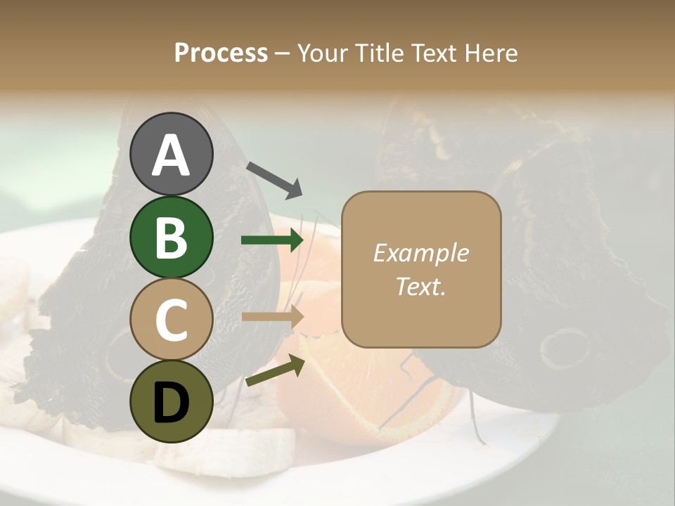 Owl Butterflies At Lunch (Butterfly House In Wien) PowerPoint Template