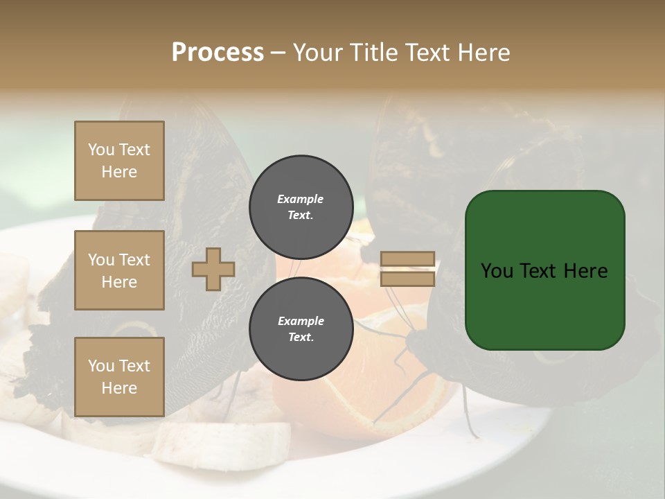 Owl Butterflies At Lunch (Butterfly House In Wien) PowerPoint Template
