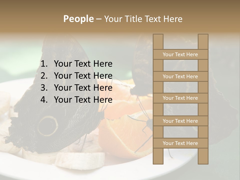 Owl Butterflies At Lunch (Butterfly House In Wien) PowerPoint Template