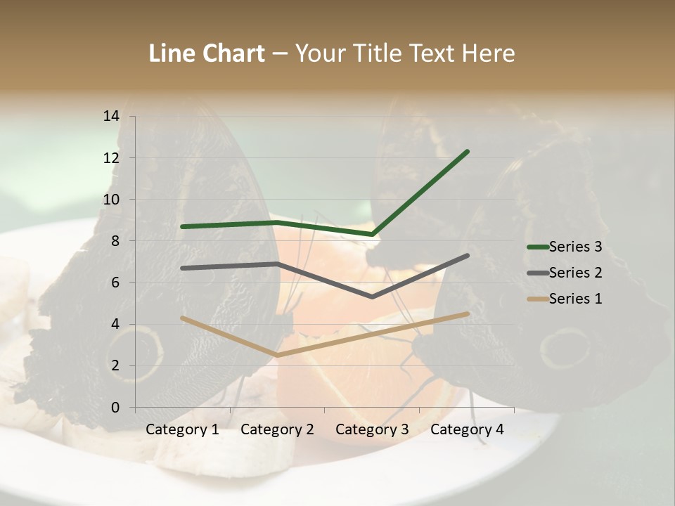 Owl Butterflies At Lunch (Butterfly House In Wien) PowerPoint Template