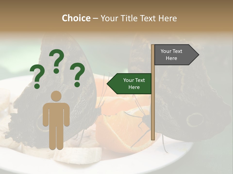 Owl Butterflies At Lunch (Butterfly House In Wien) PowerPoint Template