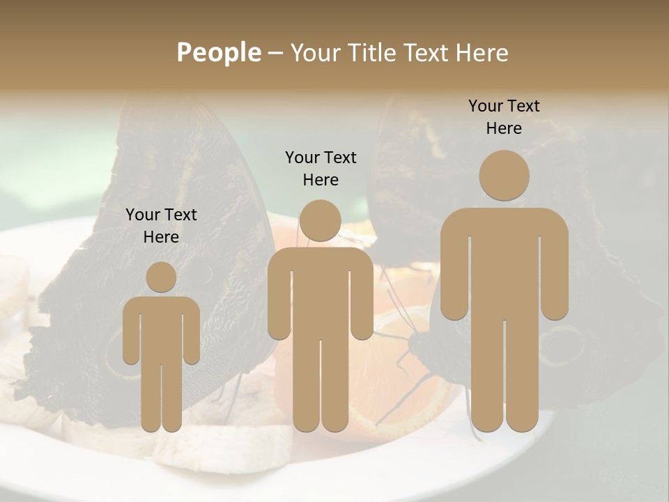 Owl Butterflies At Lunch (Butterfly House In Wien) PowerPoint Template