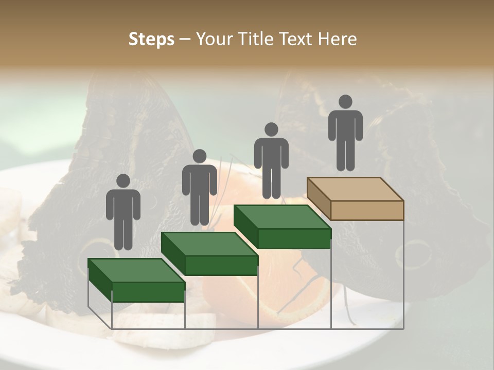 Owl Butterflies At Lunch (Butterfly House In Wien) PowerPoint Template