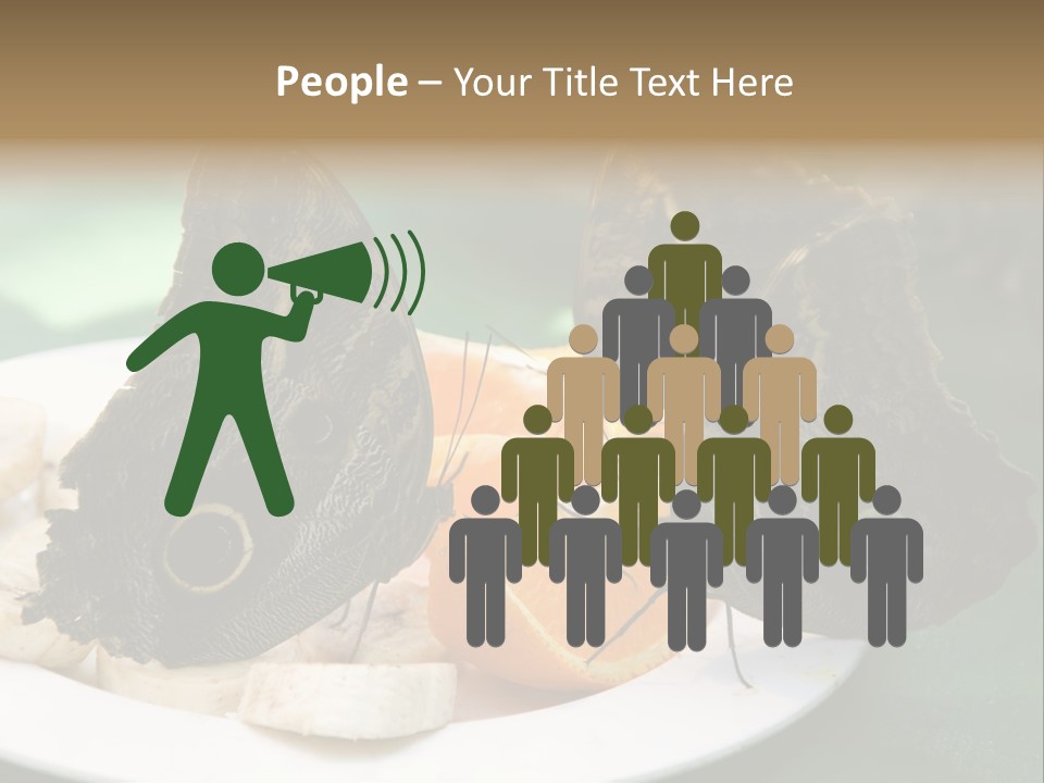 Owl Butterflies At Lunch (Butterfly House In Wien) PowerPoint Template