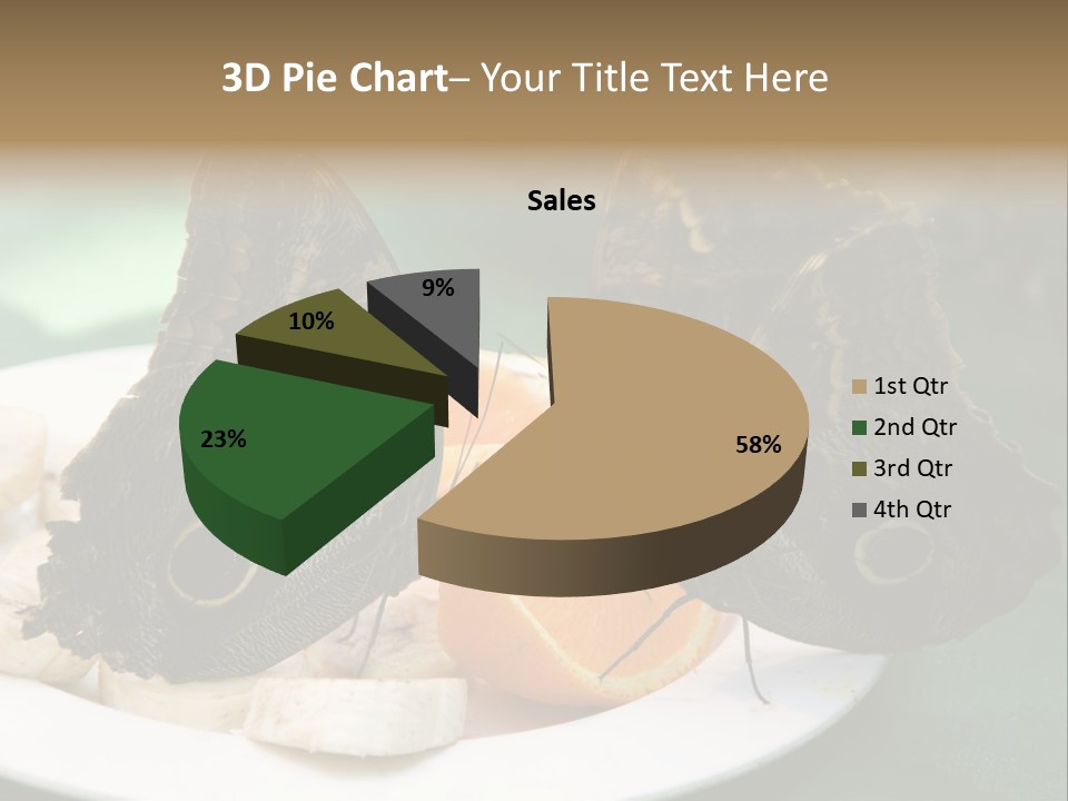 Owl Butterflies At Lunch (Butterfly House In Wien) PowerPoint Template