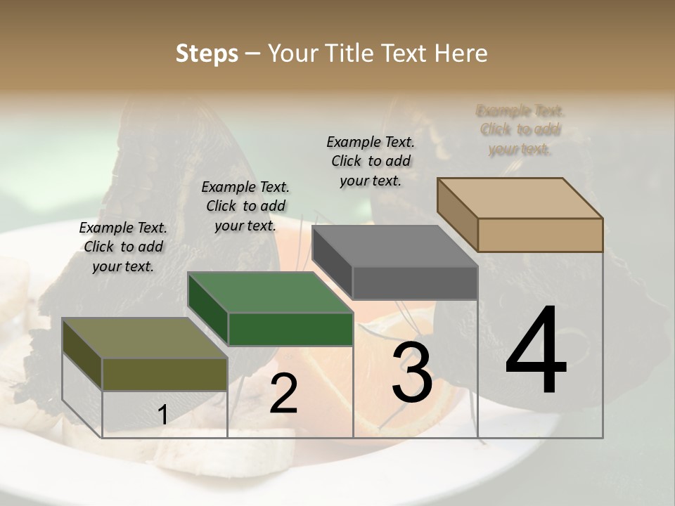 Owl Butterflies At Lunch (Butterfly House In Wien) PowerPoint Template