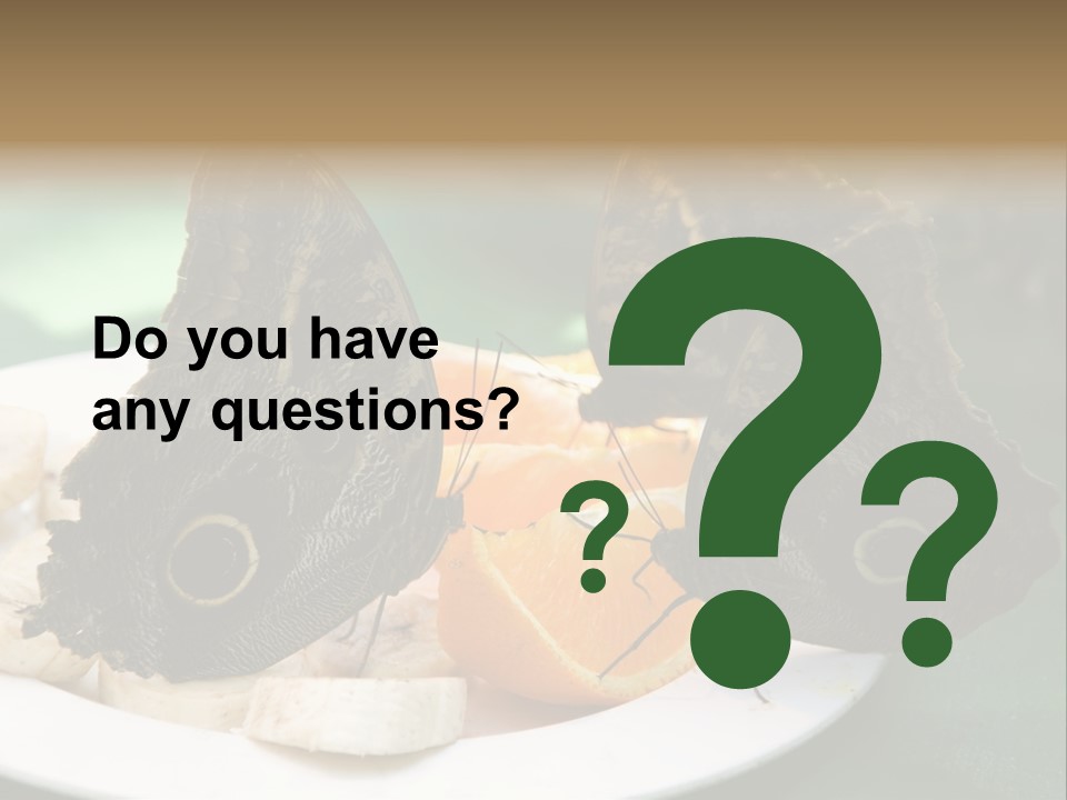 Owl Butterflies At Lunch (Butterfly House In Wien) PowerPoint Template