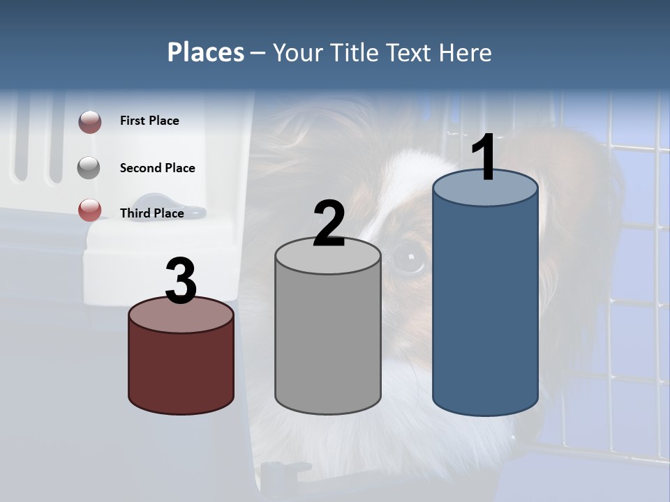 Young Dog Papillon And A Plastic Carrier PowerPoint Template