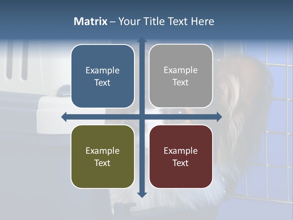 Young Dog Papillon And A Plastic Carrier PowerPoint Template
