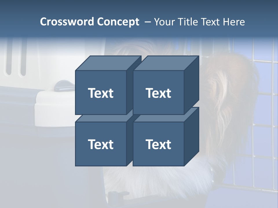 Young Dog Papillon And A Plastic Carrier PowerPoint Template