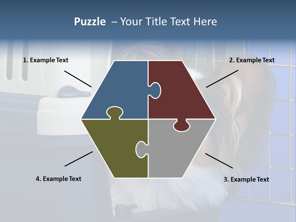 Young Dog Papillon And A Plastic Carrier PowerPoint Template