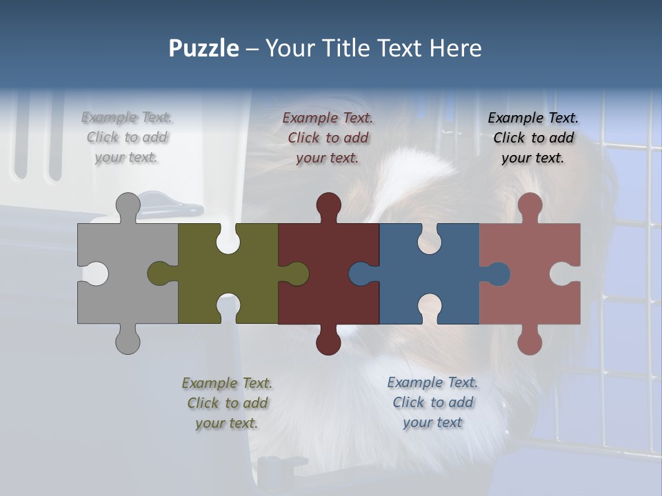 Young Dog Papillon And A Plastic Carrier PowerPoint Template