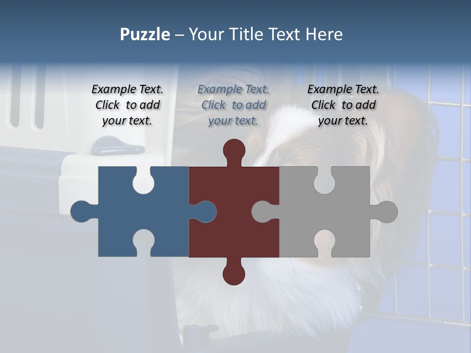 Young Dog Papillon And A Plastic Carrier PowerPoint Template