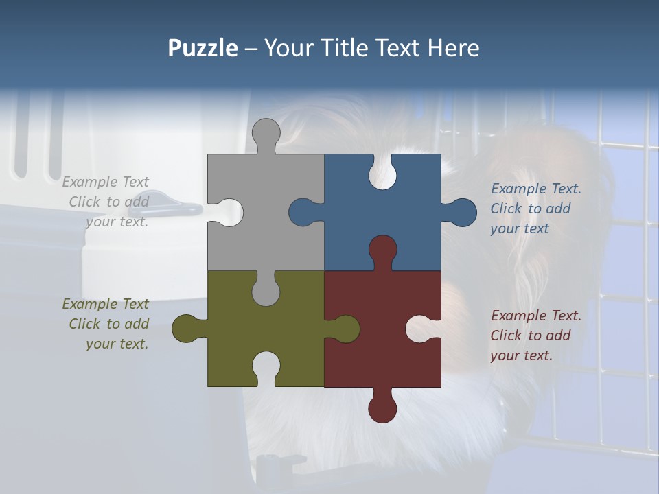 Young Dog Papillon And A Plastic Carrier PowerPoint Template