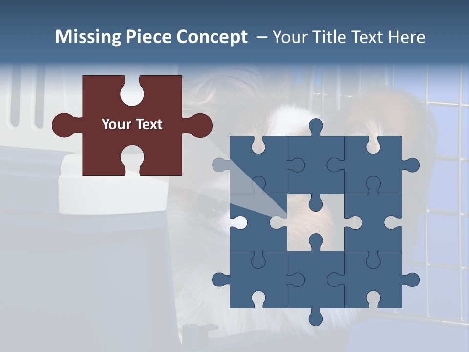 Young Dog Papillon And A Plastic Carrier PowerPoint Template