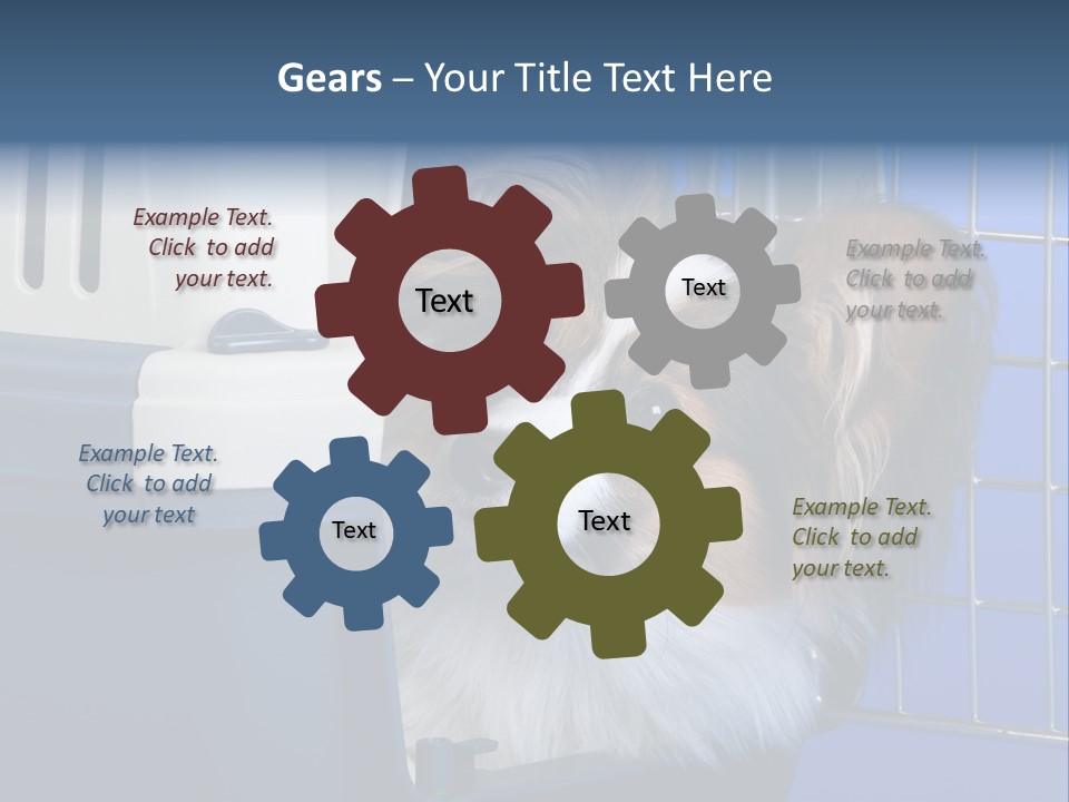 Young Dog Papillon And A Plastic Carrier PowerPoint Template