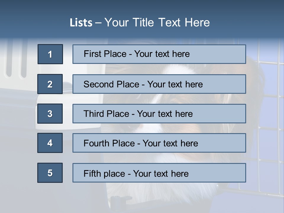 Young Dog Papillon And A Plastic Carrier PowerPoint Template