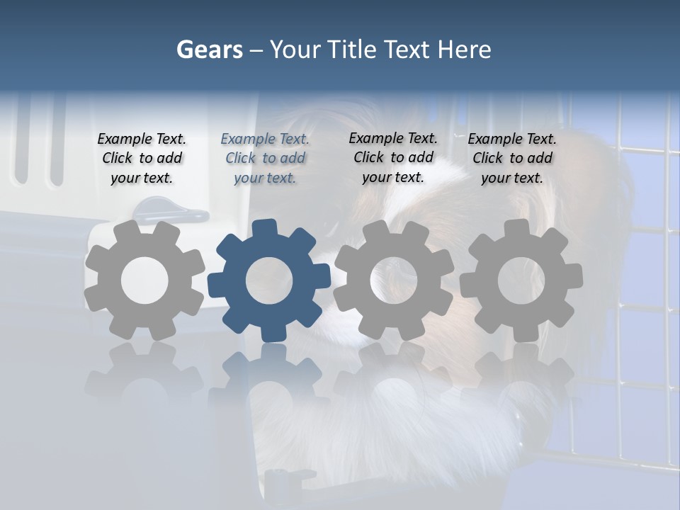 Young Dog Papillon And A Plastic Carrier PowerPoint Template