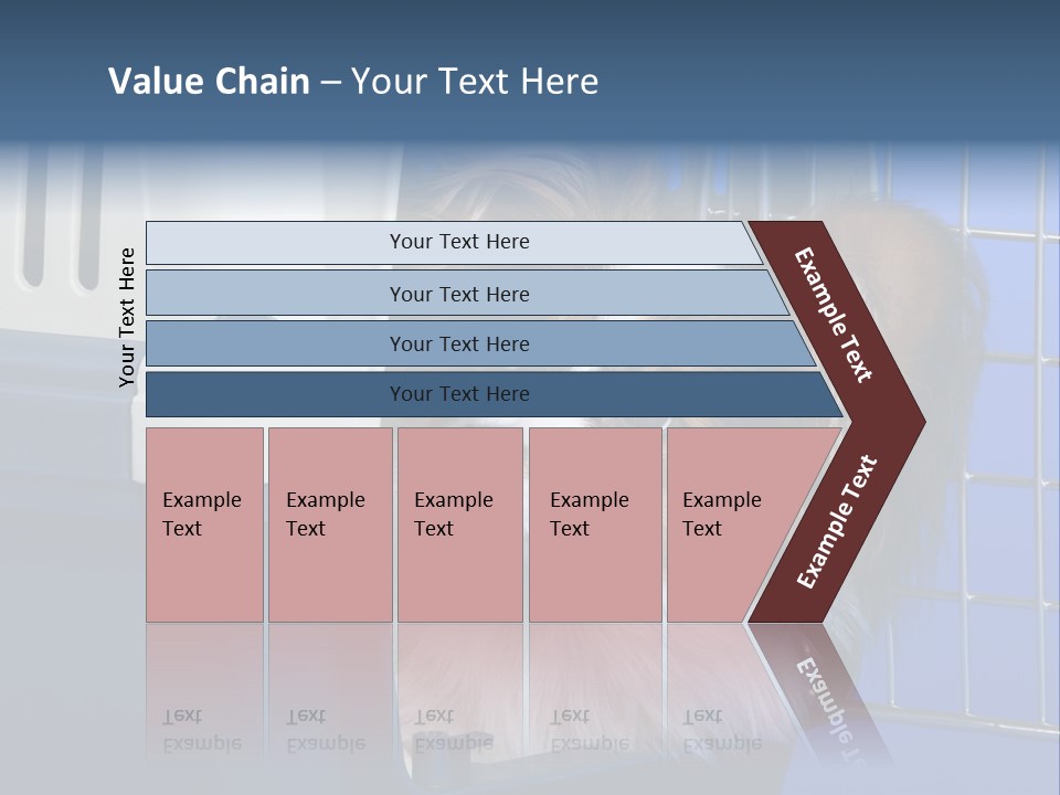 Young Dog Papillon And A Plastic Carrier PowerPoint Template