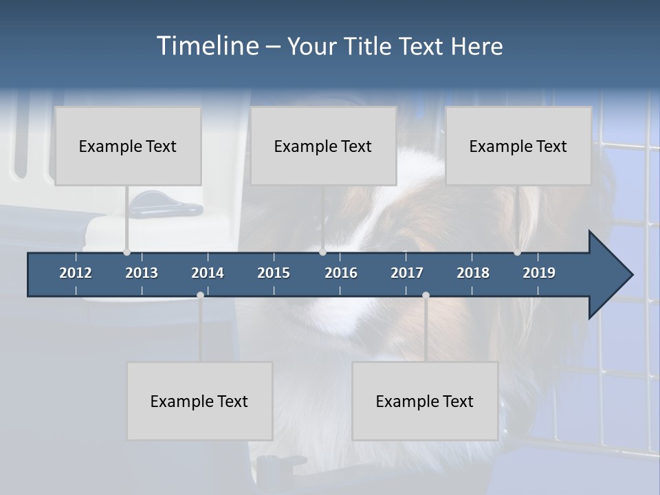 Young Dog Papillon And A Plastic Carrier PowerPoint Template