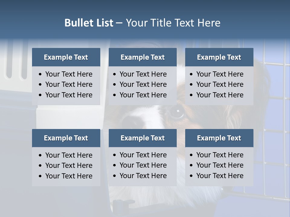 Young Dog Papillon And A Plastic Carrier PowerPoint Template