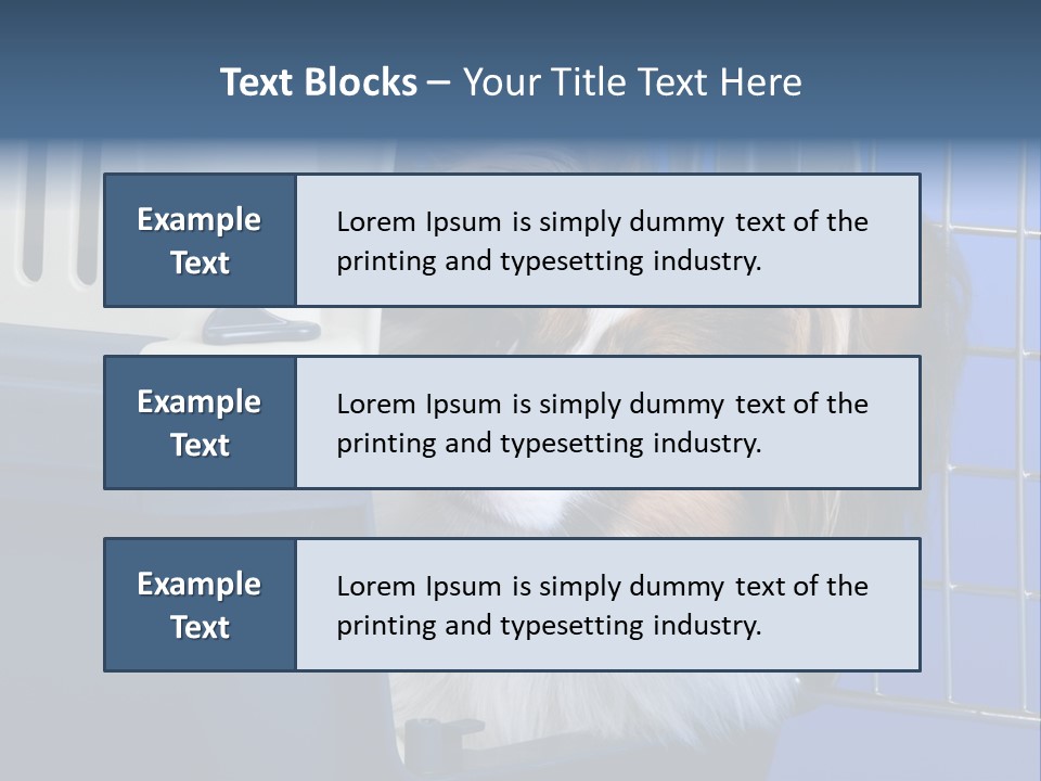 Young Dog Papillon And A Plastic Carrier PowerPoint Template