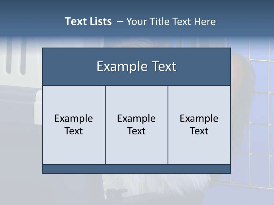 Young Dog Papillon And A Plastic Carrier PowerPoint Template