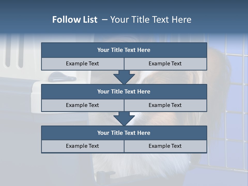 Young Dog Papillon And A Plastic Carrier PowerPoint Template