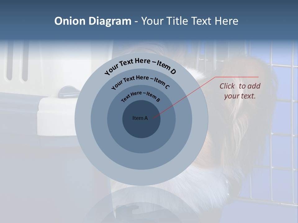 Young Dog Papillon And A Plastic Carrier PowerPoint Template