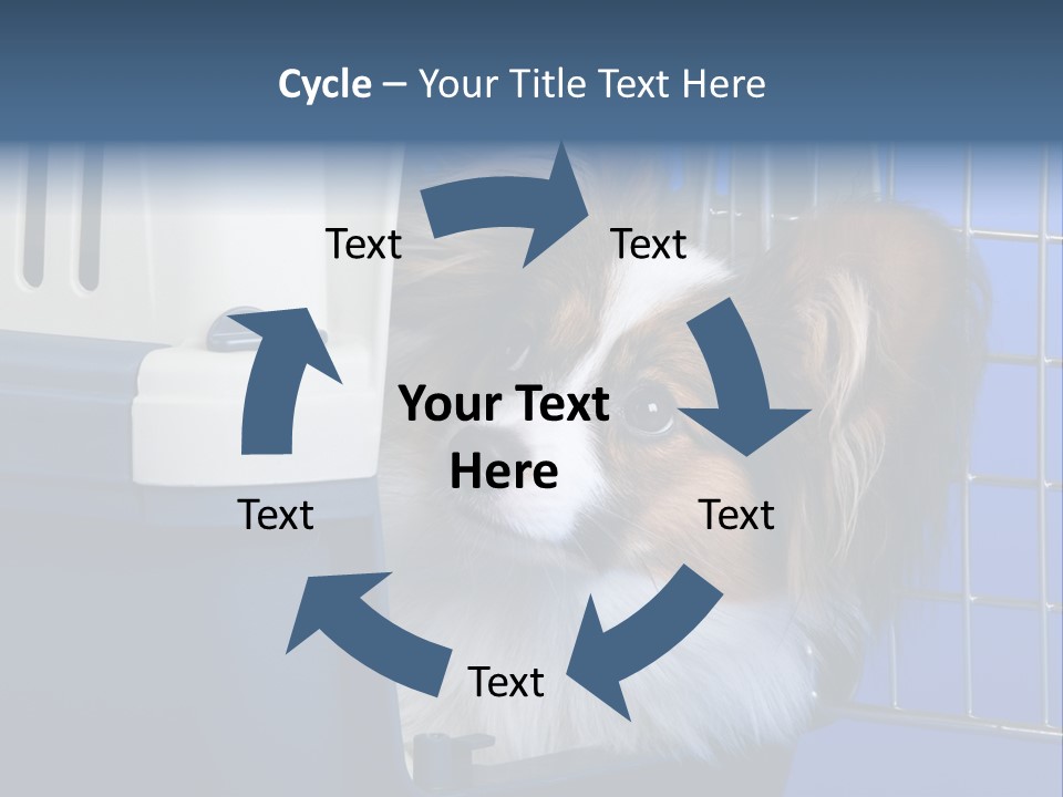Young Dog Papillon And A Plastic Carrier PowerPoint Template