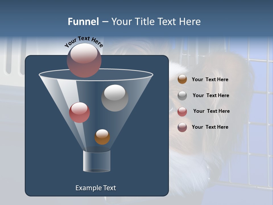 Young Dog Papillon And A Plastic Carrier PowerPoint Template