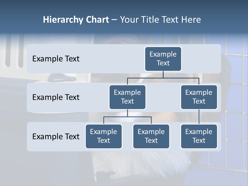 Young Dog Papillon And A Plastic Carrier PowerPoint Template