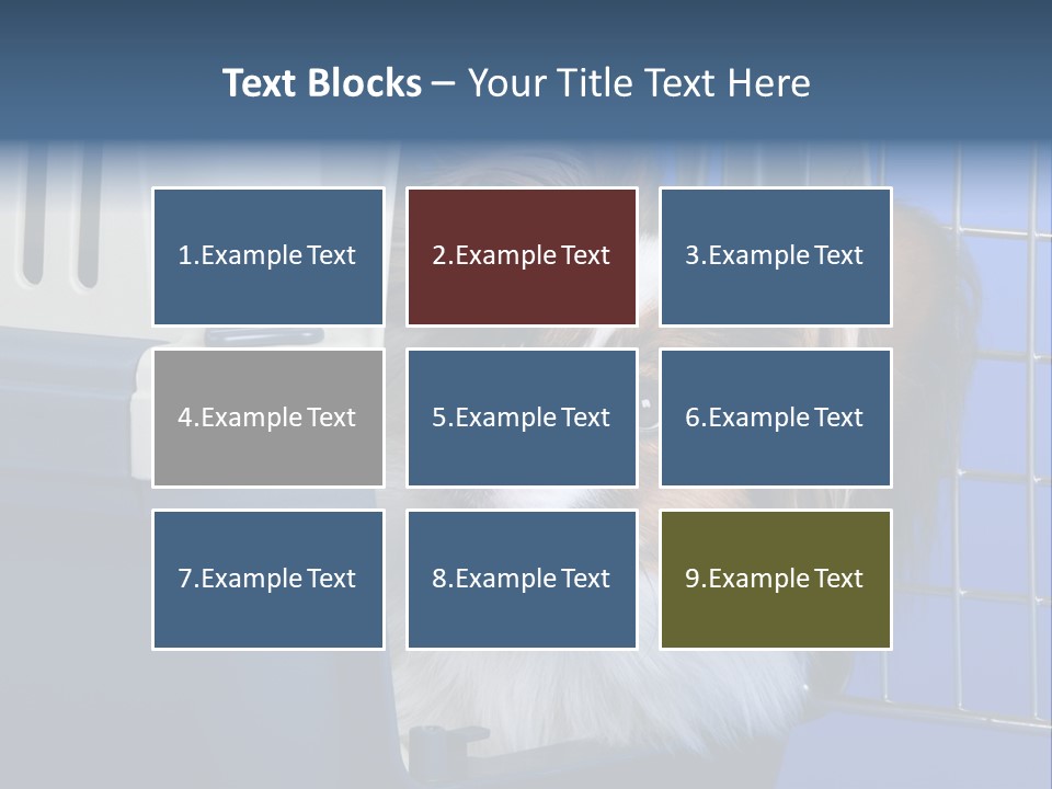 Young Dog Papillon And A Plastic Carrier PowerPoint Template