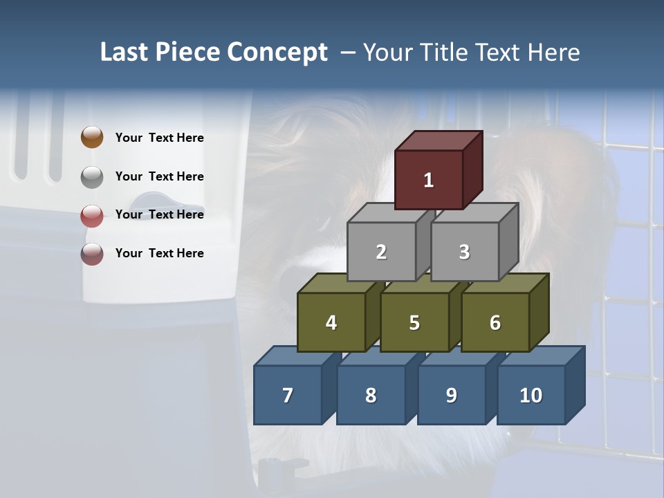 Young Dog Papillon And A Plastic Carrier PowerPoint Template