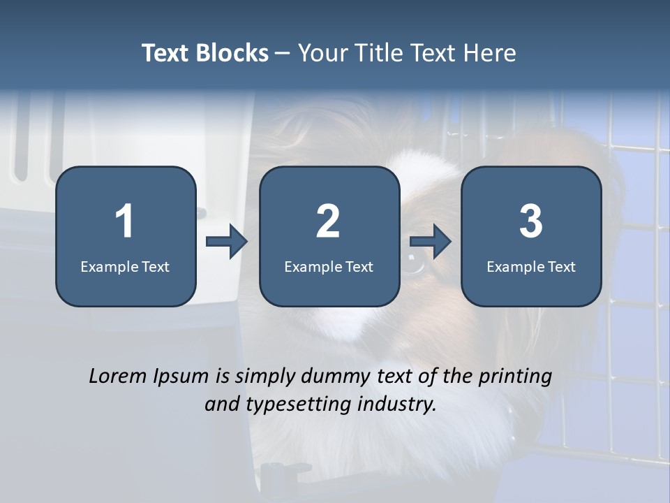 Young Dog Papillon And A Plastic Carrier PowerPoint Template