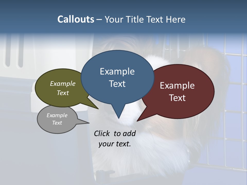 Young Dog Papillon And A Plastic Carrier PowerPoint Template