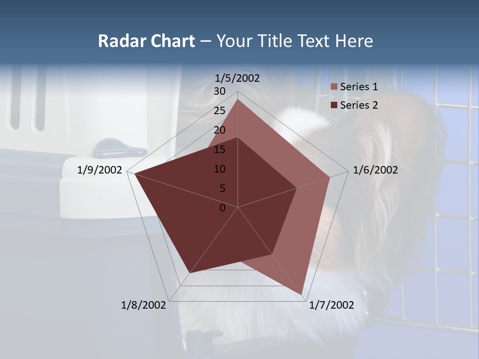Young Dog Papillon And A Plastic Carrier PowerPoint Template